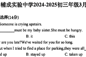 2024-2025学年度江苏无锡辅成实验中学初三年级第一次月考试卷（含答案）