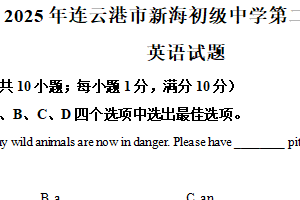 2025年江苏省连云港市新海初级中学中考第二次模拟英语试题（含解析）