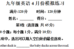 2025年江苏省南通市如皋市实验初中中考模拟英语试题（含解析）