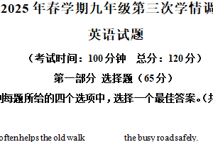 2025年江苏省泰州市泰兴市洋思中学中考三模英语试题（含解析）