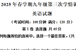 2025年江苏省泰州市泰州中学附属初级中学中考三模英语试题（含解析）