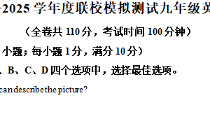 2025年江苏省徐州市沛县中考二模英语试题（含解析）