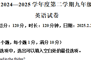 江苏省宿迁市沭阳县怀文中学2024-2025学年九年级下学期第一次月考英语试卷（含解析）