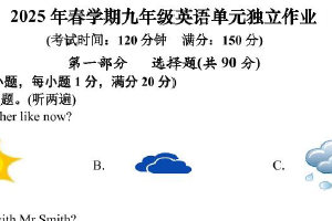 江苏省泰州中学附属初级中学2024-2025学年下学期九年级第一次月考英语试卷（含答案）