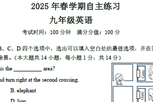 江苏省无锡市凤翔实验学校2024-2025学年九年级下学期3月自主学习英语试题（含答案）