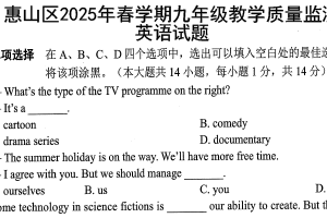 江苏省无锡市惠山区2024-2025学年九年级下学期期中考试英语试卷（含答案）