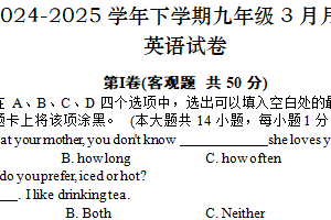 江苏省无锡市江阴市华士实验中学2024-2025学年下学期九年级第一次阶段性检测英语试卷（含答案）