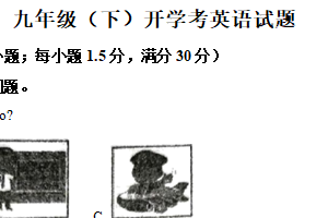 江苏省徐州市沛县五中集团联盟2024-2025学年九年级下学期开学考试英语试题（含解析）