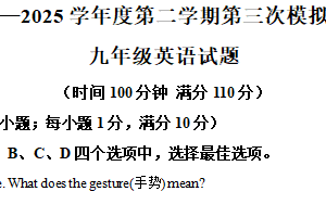 江苏省徐州市树人中学2024-2025学年下学期九年级第三次英语试题（含解析）
