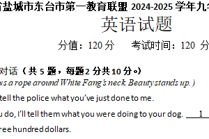 江苏省盐城市东台市第一教育联盟2024-2025学年九年级下学期5月月考英语试题（含解析）