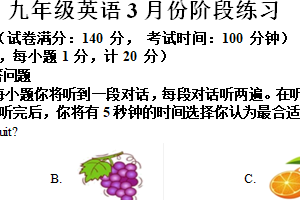 江苏省扬州市高邮市城北中学2024-2025学年九年级下学期第一次课堂练习英语试题（含答案+听力音频）