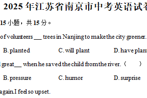 2025年江苏省南京市中考英语试卷（含解析）