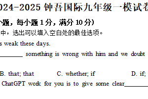 2025年江苏省宿迁市钟吾初级中学九年级中考一模英语试卷（含解析）