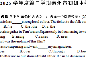 江苏省泰州市初级中学2024-2025学年九年级下学期第二次模拟测试英语试题（含答案）