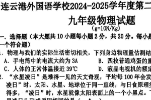 2025年江苏省连云港外国语学校中考一模物理试卷（无答案）