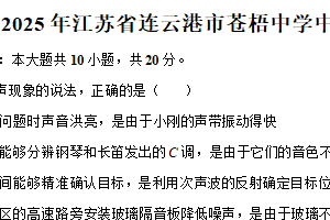 2025年江苏省连云港市苍梧中学中考物理一模试卷（含解析）