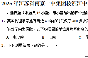 2025年江苏省南京一中集团校滨江中学、求真中学联考中考物理零模试卷（含解析）