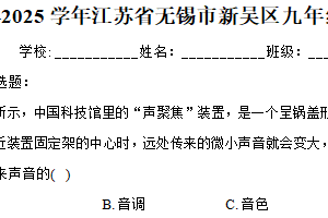 2025年江苏省无锡市新吴区九年级中考物理模拟试卷（含解析）