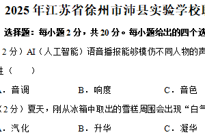 2025年江苏省徐州市沛县实验学校联盟学区中考物理模拟试卷（含解析）
