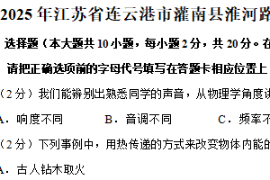 江苏省连云港市灌南县淮河路实验学校2024-2025学年九年级下学期阶段性学业质量检测物理试题（含解析）