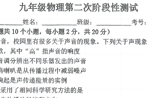 江苏省连云港市新海实验中学2024-2025学年九年级下学期4月月考物理试卷（无答案）