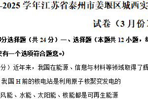 江苏省泰州市姜堰区城西实验学校2024-2025学年九年级下学期3月月考物理试题（含解析）