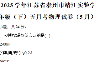 江苏省泰州市靖江实验学校2024-2025学年九年级下学期五月月考物理试卷（含解析）