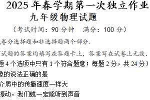 江苏省泰州市南苑学校2024-2025学年九年级下学期第一次月考物理试卷（含答案）