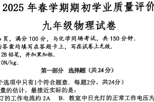 江苏省泰州市兴化市2024-2025学年九年级下学期开学物理试题（含答案）