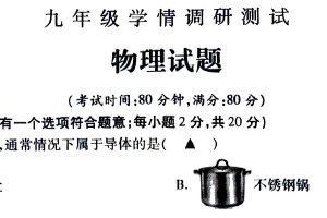 江苏省徐州市沛县2024-2025学年九年级下学期3月月考物理试题（无答案）