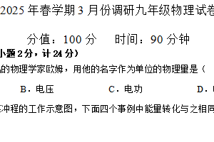 江苏省盐城市阜宁县联考2024-2025学年九年级下学期3月月考物理试题（含答案）