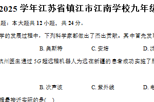 江苏省镇江市江南学校2024-2025学年九年级下学期月考物理试卷（含解析）