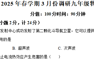 江苏省淮安市洪泽区部分学校2024-2025学年九年级下学期3月月考物理试题（含解析）