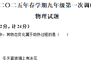 2025年江苏省淮安市淮阴区中考一模物理试题（含解析）