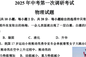 2025年江苏省连云港市东海县九年级中考一模物理试题（含答案）