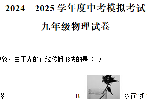2025年江苏省连云港市东海县外国语学校中考二模物理试卷（含解析）
