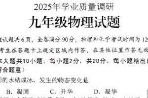 2025年江苏省连云港市海州区中考一模学业质量调研物理试题（含答案）