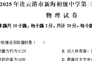 2025年江苏省连云港市新海初级中学中考三模物理试题（含解析）