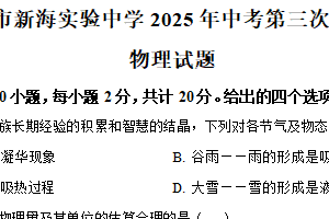 2025年江苏省连云港市新海实验中学中考第三次模拟测试物理试题（含解析）