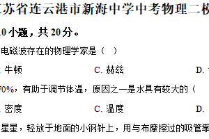 2025年江苏省连云港市新海中学中考二模物理试题（含解析）