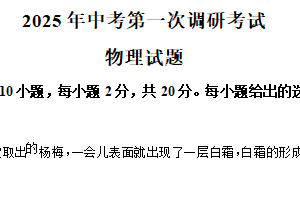 2025年江苏省连云港市中考一模物理试题（含解析）