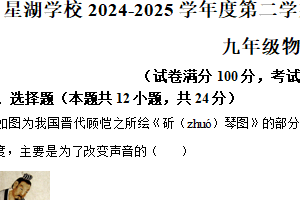 2025年江苏省苏州工业园区星湖学校中考二模物理试题（含解析）