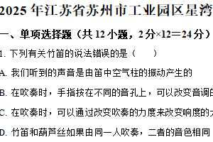 2025年江苏省苏州市工业园区星湾学校中考一模物理试题（含解析）