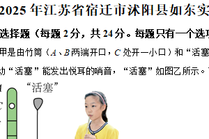 2025年江苏省宿迁市沭阳县如东实验学校中考一模物理试题（含解析）