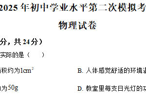 2025年江苏省宿迁市沭阳县中考二模物理试题（含解析）