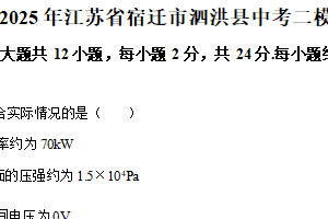 2025年江苏省宿迁市泗洪县中考二模物理试题（含解析）
