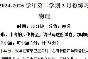 2025年江苏省宿迁市泗阳县泗阳致远中学一模物理试题（含解析）