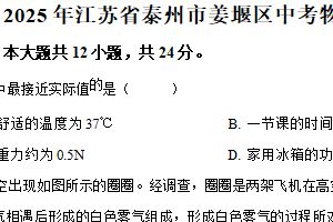 2025年江苏省泰州市姜堰区中考二模物理试题（含解析）