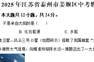2025年江苏省泰州市姜堰区中考一模物理试题（含解析）