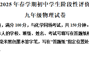 2025年江苏省泰州市兴化市中考一模物理试题（含解析）